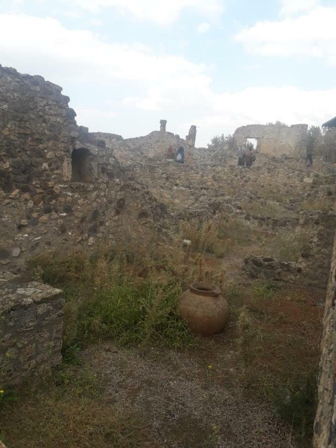 Rosy Monolocale Nel Centro Storico Di Torre Annunziata Di Fronte Scavi Oplontiアパートメント エクステリア 写真