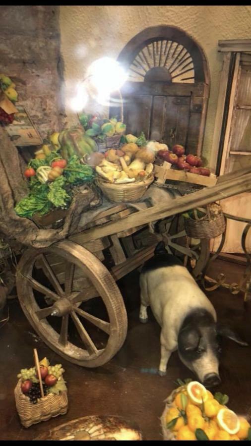 Rosy Monolocale Nel Centro Storico Di Torre Annunziata Di Fronte Scavi Oplontiアパートメント エクステリア 写真
